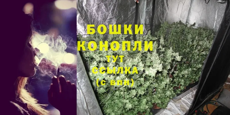 купить закладку  Каргополь  Бошки Шишки OG Kush 